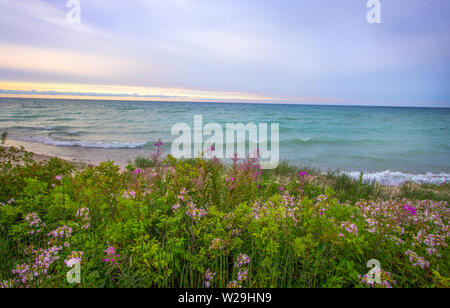 Sunset Beach Hintergrund. Weiches Sonnenlicht Himmel an der Küste von Lake Huron mit Wildblumen im Vordergrund und aquamarinen Wasser am Horizont. 40 Mi Stockfoto