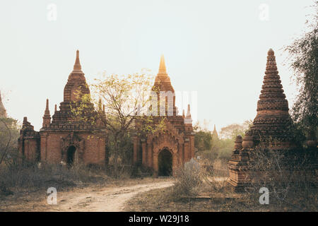 Blick über Stupas und Pagoden von Bagan, antike Tempel Komplex während der Sunrise golden hour in Myanmar. Dirt Road im Vordergrund. Stockfoto