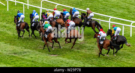 Hamburg, Deutschland. 07 Juli, 2019. Pferderennen: Galopp, Derby Woche Hamburg. Das Feld der Teilnehmer der Hapag-Lloyd-Rennen in der ersten Kurve des Kurses. Quelle: Axel Heimken/dpa/Alamy leben Nachrichten Stockfoto