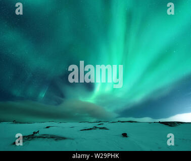 Aurora borealis über dem schneebedeckten Berg Stockfoto