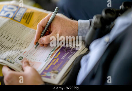 Hamburg, Deutschland. 07 Juli, 2019. Pferderennen: Galopp, Derby Woche Hamburg. Ein Besucher zu Derby Woche füllt ein wettschein. Quelle: Axel Heimken/dpa/Alamy leben Nachrichten Stockfoto