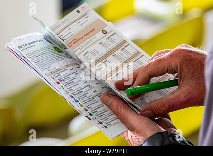 Hamburg, Deutschland. 07 Juli, 2019. Pferderennen: Galopp, Derby Woche Hamburg. Ein Besucher zu Derby Woche nimmt Hinweise im Programmheft. Quelle: Axel Heimken/dpa/Alamy leben Nachrichten Stockfoto