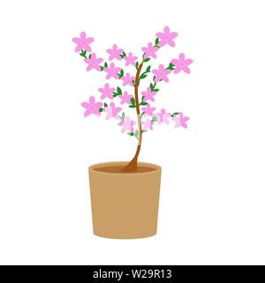 Indoor Topfpflanzen blühende Pflanzen Vector Illustration auf weißem Hintergrund Stock Vektor