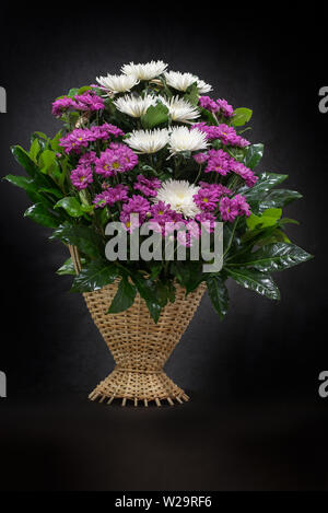 Rituelle Begräbnis Korb mit Blumen auf schwarzem Hintergrund. Die Blume Anordnung der Blumen im Korb ist für Begräbnisse und Lesezeichen verwendet. Mourni Stockfoto