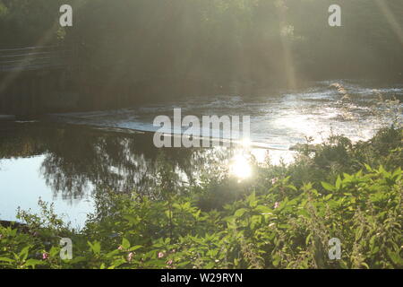 Bild des Abends Sonne an einem Fluss, mit Sträuchern davor in einem Wiesen an einem sonnigen Tag Stockfoto