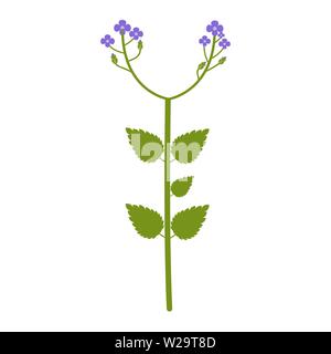 Wildblumen blühen Flachbild-Symbol, Vektor, Abbildung auf weißem Hintergrund Stock Vektor