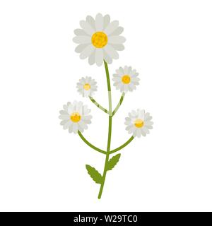 Kamillenblüten Flachbild-Symbol, wilde Blumen, Pflanzen Vector Illustration auf weißem Hintergrund Stock Vektor