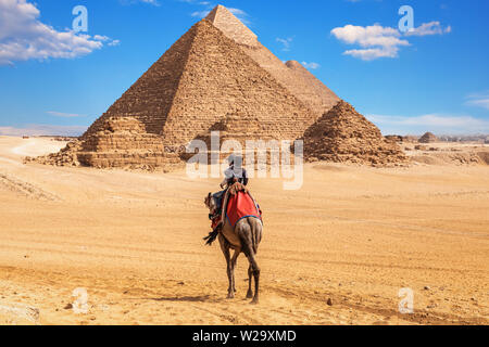 Ägypter auf Kamelen in der Nähe des Komplex der Pyramiden von Gizeh, Ägypten Stockfoto
