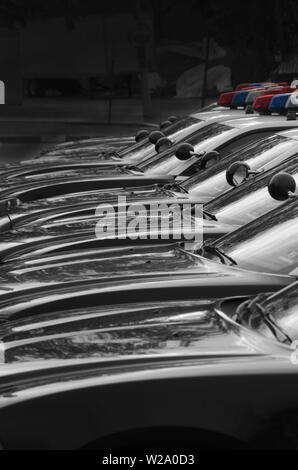 Copland: Eine Flotte von schwarz-weißen Polizeiwagen mit den roten, weißen und blauen Lichtern auf dem Wagen. Stockfoto