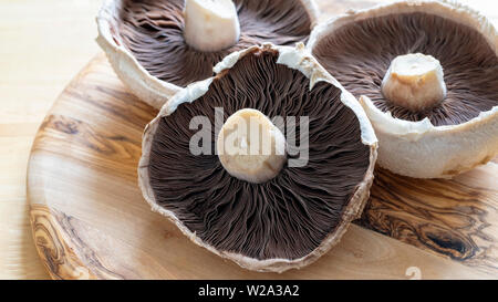 Große Pilze an Holz- Oberfläche Stockfoto