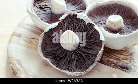 Große Pilze an Holz- Oberfläche Stockfoto