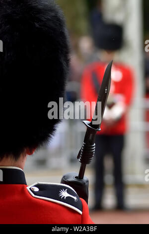 Welsh Guards an Trooping der Farbe 2019 Stockfoto