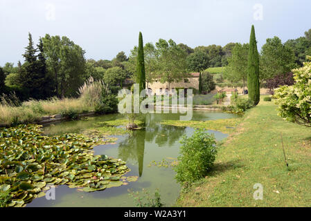 Formale Gärten Château La Canorgue Domaine oder Wine Estate Bonnieux Luberon Provence. Einstellung der Film 2006 ein gutes Jahr basierend auf dem Roman von Peter Mayle Stockfoto