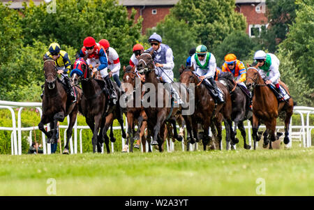 Hamburg, Deutschland. 07 Juli, 2019. Pferderennen: Galopp, Derby Woche Hamburg. Das Starterfeld für die Idee 150. Deutschen Derby. Quelle: Axel Heimken/dpa/Alamy leben Nachrichten Stockfoto