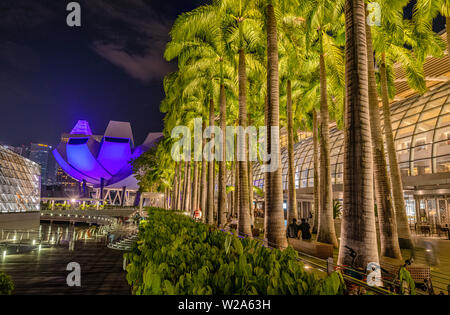 Palm Tree Alley in Marina Bay Harbour Waterfront bei Nacht, Singapur Stockfoto