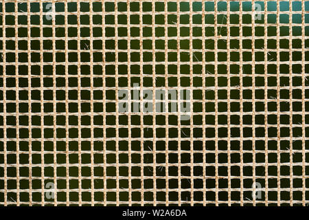 Raster auf dem Fenster gegen Moskitos im Sonnenlicht. Zusammenfassung Hintergrund. Stockfoto