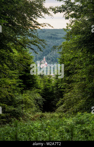 Wald Landschaft entlang der Neckarsteig Weitwanderweg in Deutschland Stockfoto