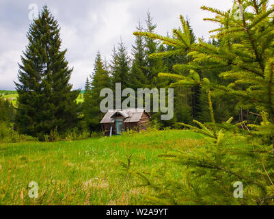 Malerische Feder Szene mit Blockhaus Cottage auf einer grünen Weide von Pinienwäldern umgeben. Altes Haus in der Mitte der Nadelwald.