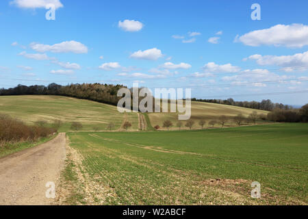 Landschaft außerhalb von East Meon Dorf in der Nähe von Petersfield, Hampshire, England Großbritannien Stockfoto