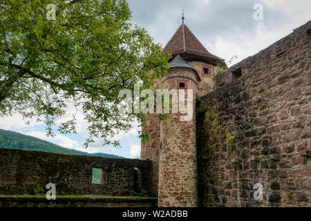 Entlang der Weitwanderweg Neckarsteig in Deutschland Hirschhorn Stockfoto