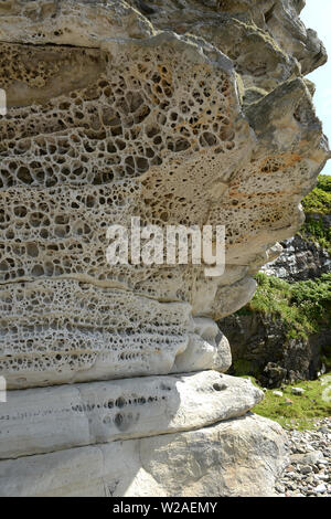 Erosion Muster auf Jurassic rock durch Wind und Wasser in Elgol Isle of Skye, Schottland gemacht Stockfoto