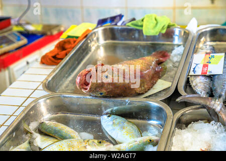 Nahaufnahme des Schwadleger von innen am Fischmarkt von Al Khor, der sich in der Nähe der Corniche. Katar, Naher Osten, Arabische Halbinsel. Stockfoto