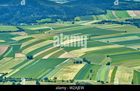 Felder, Wälder und Straßen, Gebäude, schöne Muster. Weizen ist noch nicht reif, also viel grüne Farbe. Wie von der Hohen Wand, Österreich gesehen. Stockfoto