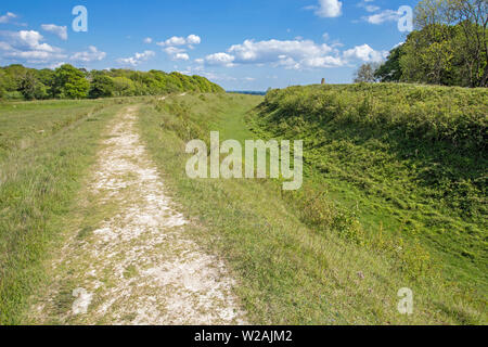 Badbury Rings Eisenzeit Hill fort, East Dorset, England, Großbritannien Stockfoto