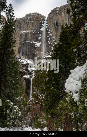 Ein Blick auf die Yosemite Falls aus dem Tal, im Winter mit Schnee angesammelt, Kalifornien, USA Stockfoto