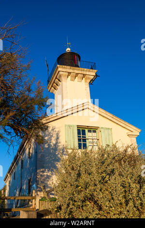 La Camargue. Bouches-du-Rhone, Frankreich Stockfoto