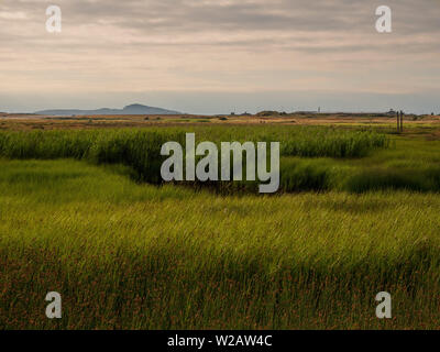 Eine Anglesey Landschaft mit einem Berg im Hintergrund Stockfoto