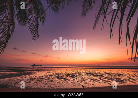 Schöne Silhouette Kokospalme auf der tropischen Strand. Farbenfrohen Sonnenuntergang Himmel über dem Meer Wasser, Thailand. Stockfoto