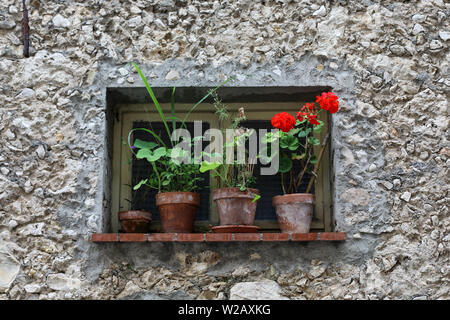 Blumentöpfe auf der Fensterbank in Carros, Frankreich Stockfoto