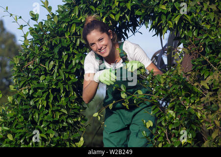 Frau Gärtner Gartenarbeit Schere schneiden Blumen Pflanzen Natur Sonne Stockfoto