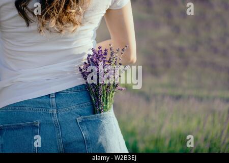 Blumenstrauß aus lila Lavendelblüten in die Jeans Tasche. Getönt Stockfoto