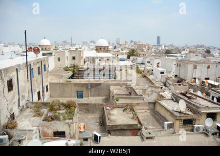 Eine Dachterrasse mit Blick auf die Altstadt von Tunis und Medina mit Blick auf eine Reihe von Moscheen, Tunis, Tunesien. Stockfoto