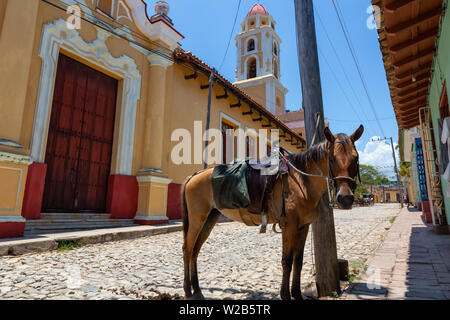 Pferd auf der Straße mit der Kirche im Hintergrund an einem sonnigen Sommertag. In Trinidad, Kuba genommen. Stockfoto