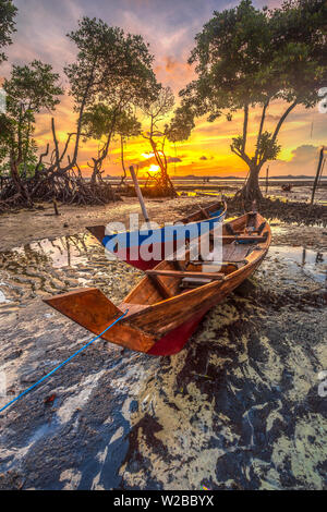 Sonnenlicht in der Mangrove Komplex Stockfoto