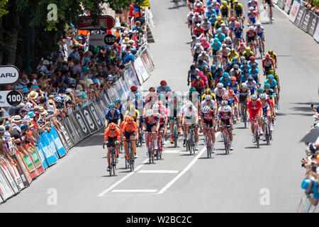 ADELAIDE, Australien - Januar 17. Das peleton auf die letzten 2 Runden vor dem Ziel in Uraidla während Phase 3 von lobethal zu Uraidla Stockfoto