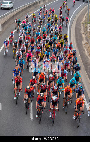 ADELAIDE, Australien - 18. Januar 2019. Das peleton auf der Östlichen Sount Freeeway in der Nähe von Crafers während Phase 4 von unley zu Landshut. Stockfoto