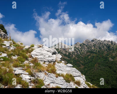 Geologische Kontraste in den Apuanischen Alpen, die Apuanischen Alpen, in der Nähe des Vestito Mountain Pass. Massa Carrara, Italien, Europa Stockfoto