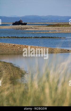 Blick über Morecambe Bay und der Irischen See aus dem Süden westlich von Walney Island. South Walney Nature Reserve, Walney Island, Barrow-In-Furness, Großbritannien Stockfoto