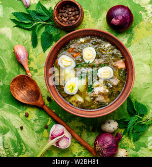 Ukrainische grüner Borschtsch. Borschtsch mit Sauerampfer und Brennnesseln. Ukrainische Küche Stockfoto