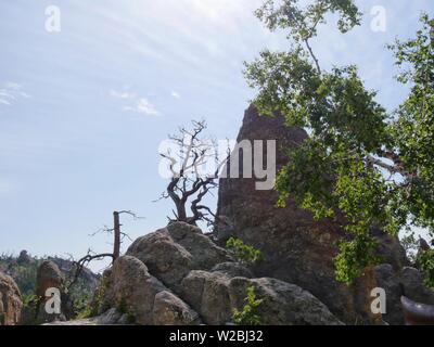 Kurvenreiche Straße schlängelt um unglaublichen Felsformationen entlang Nadeln Autobahn in South Dakota. Stockfoto