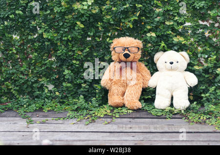 Vibrant outdoor Foto der Teddybär auf dem Hof an der Park mit dem weißen Blume und grüne Gräser Stockfoto