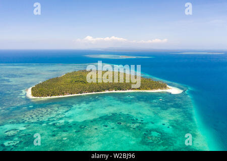 Patongong Insel, Palawan, Philippinen. Tropische Insel mit Palmen und weißem Sand. Atoll mit einer grünen Insel, Ansicht von oben. Stockfoto