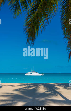 Antigua, Jolly Bay Strand, Palmen Casting Shadows Stockfoto