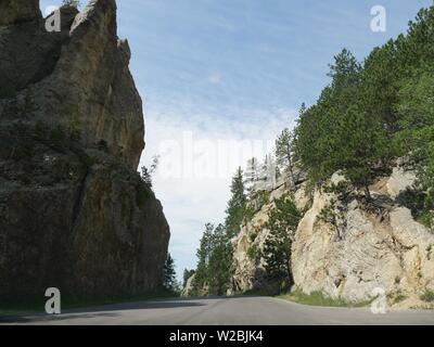 Medium Nahansicht von Nadeln Autobahn bei der Custer State Park in South Dakota. Stockfoto