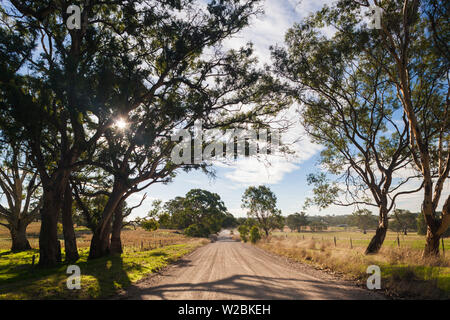 Australien, South Australia, Barossa Valley, Mount Pleasant, Landstraße Stockfoto