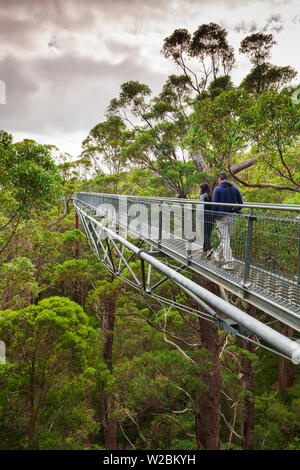 Australien, Western Australia, The Southwest, Walpole-Nornalup Tal der Riesen Tree Top Walk, Gehweg über Riesen Kribbeln Bäume Stockfoto